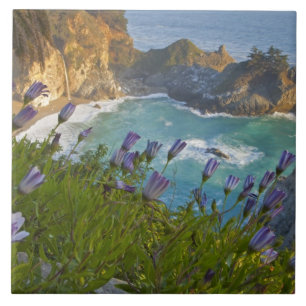 Scenic McWay Falls tumbles into the beach and Ceramic Tile