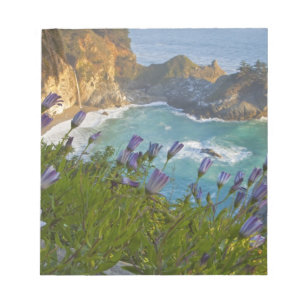 Scenic McWay Falls tumbles into the beach and Notepad