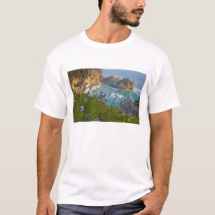 Scenic McWay Falls tumbles into the beach and T-Shirt