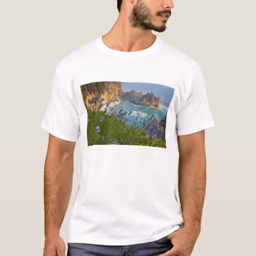 Scenic McWay Falls tumbles into the beach and T_Shirt