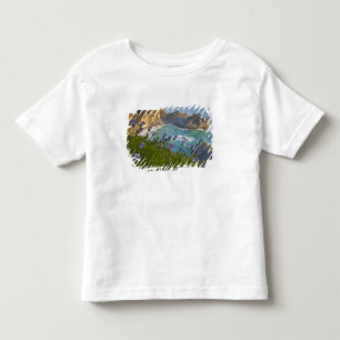 Scenic McWay Falls tumbles into the beach and Toddler T-shirt