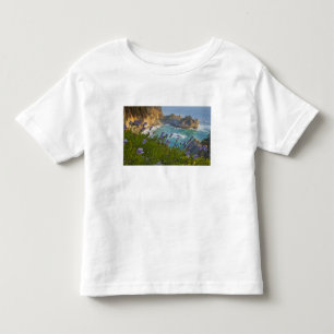 Scenic McWay Falls tumbles into the beach and Toddler T-shirt