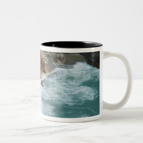Scenic McWay Falls tumbles into the beach and Two_Tone Coffee Mug