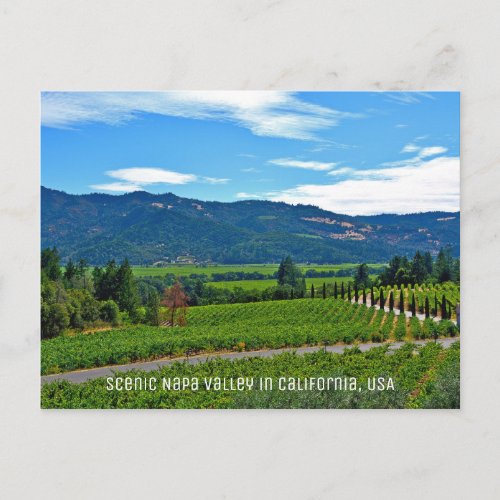 Scenic Napa Valley in California Postcard