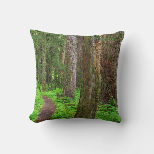 Scenic of old growth forest throw pillow