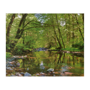 Scenic of Wilson River Acrylic Print