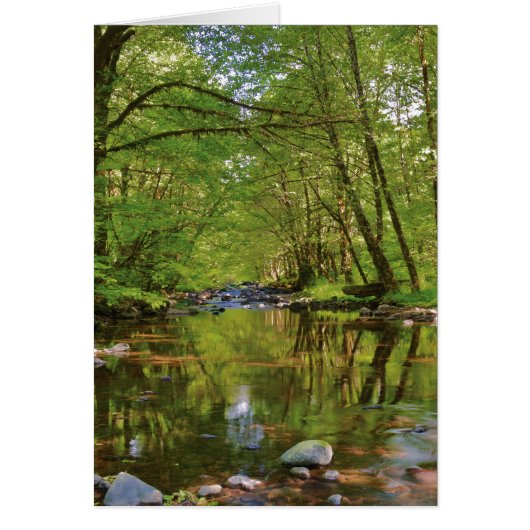 Scenic of Wilson River Cards (Front)