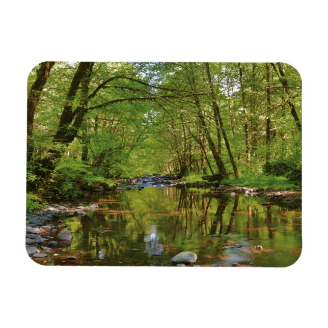 Scenic of Wilson River Magnet (Horizontal)