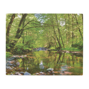 Scenic of Wilson River Metal Print