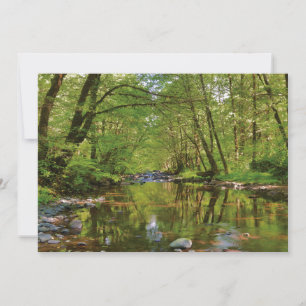 Scenic of Wilson River Thank You Card