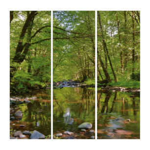 Scenic of Wilson River Triptych