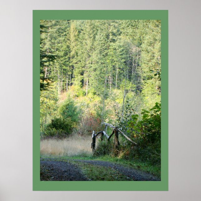 Scenic Oregon Forest Trees Country Photography Poster (Front)