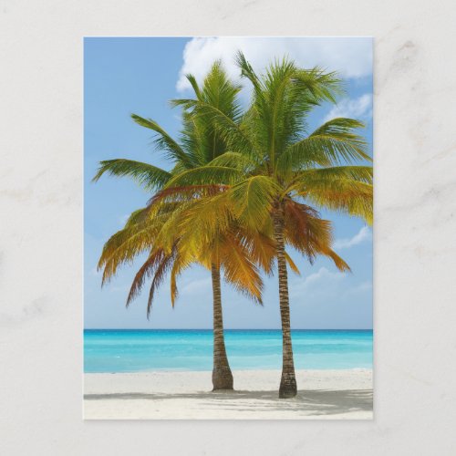Scenic Palm Trees on a Tropical Beach Postcard