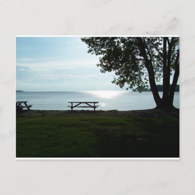 Scenic Picnic Table Postcard (Front)