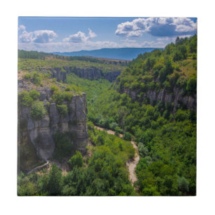 Scenic Pine Trees Canyon Ceramic Tile