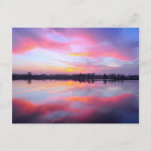 Scenic Pink Landscape Postcard