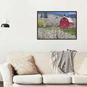 Scenic Red Barn and Pear Blossoms Photo Print
