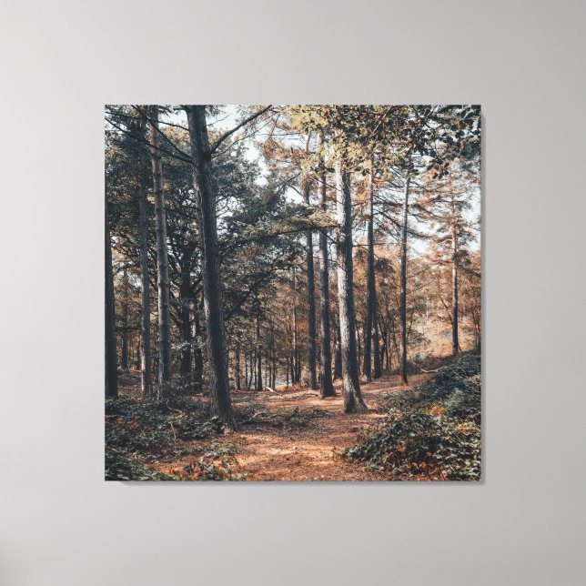 Scenic relaxing forest canvas print (Front)