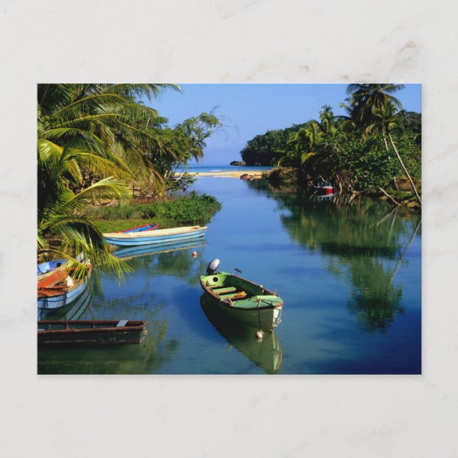 Scenic river near Ocho Rios in Jamaica Postcard (Front)