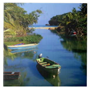Scenic river near Ocho Rios in Jamaica Tile