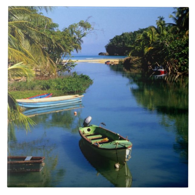 Scenic river near Ocho Rios in Jamaica Tile (Front)
