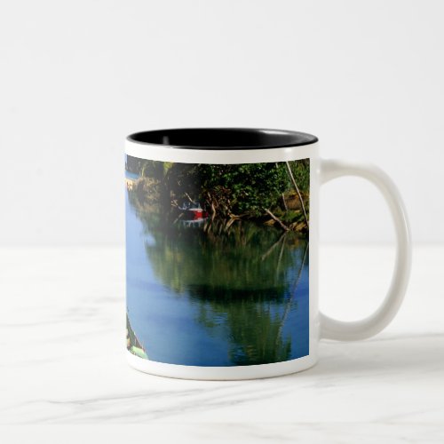 Scenic river near Ocho Rios in Jamaica Two_Tone Coffee Mug