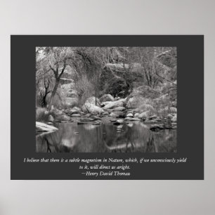 Scenic Sabino Canyon Winter Poster