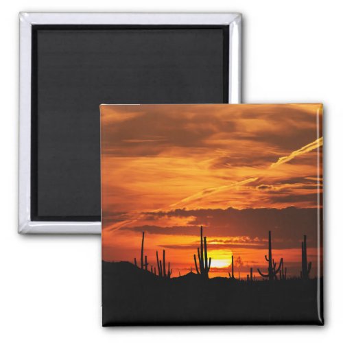 Scenic Saguaros at Sunset Magnet