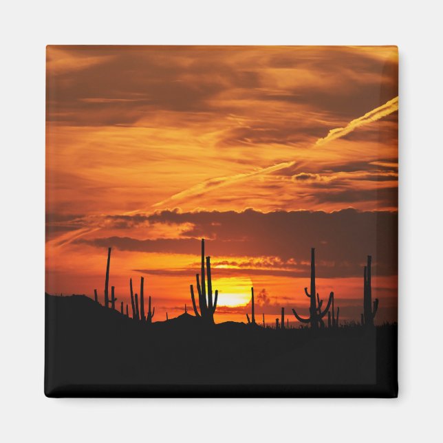 Scenic Saguaros at Sunset Magnet (Front)