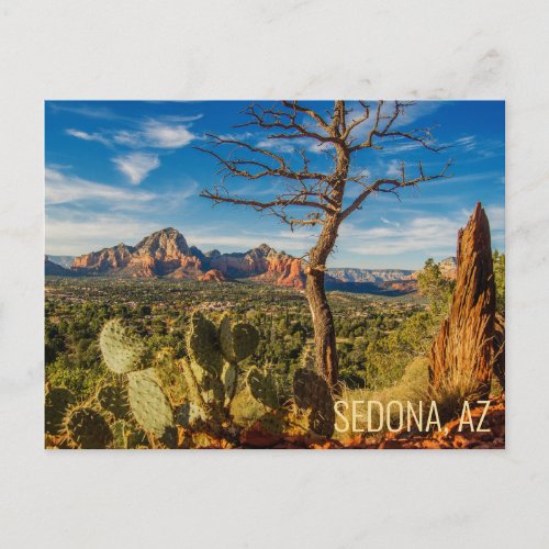 Scenic Sedona Arizona Desert Postcard with Cactus