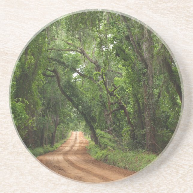 Scenic Series---Canopy Road Coaster (Front)