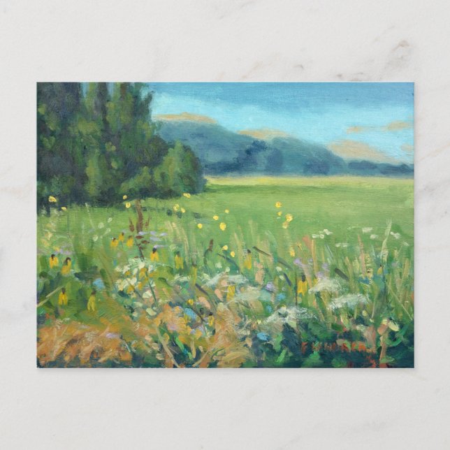 Scenic Spring Wildflowers Painting Announcement Postcard (Front)