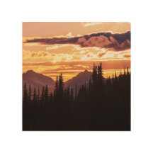 Scenic Sunset Mountains Jungle Pine trees Fall Jig