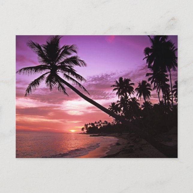 Scenic Sunset Postcard (Front)