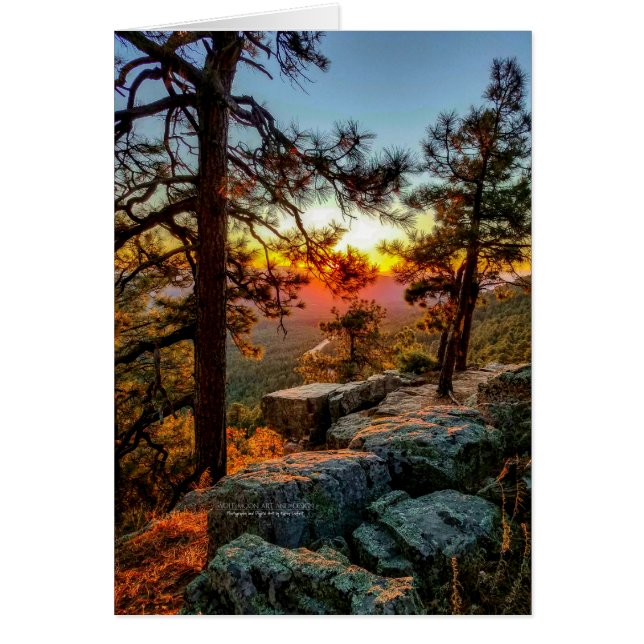 Scenic Sunset View / Pine Trees / Mogollon Rim AZ Cards (Front)