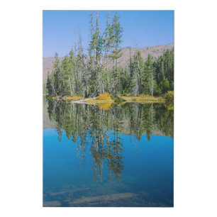Scenic Sylvan Lake, Yellowstone National Park Faux Canvas Print