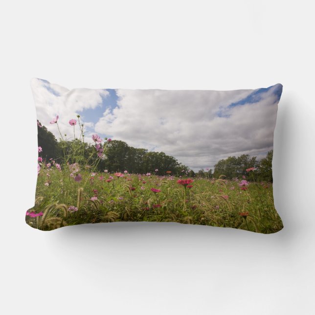 Scenic throw pillow (Front)