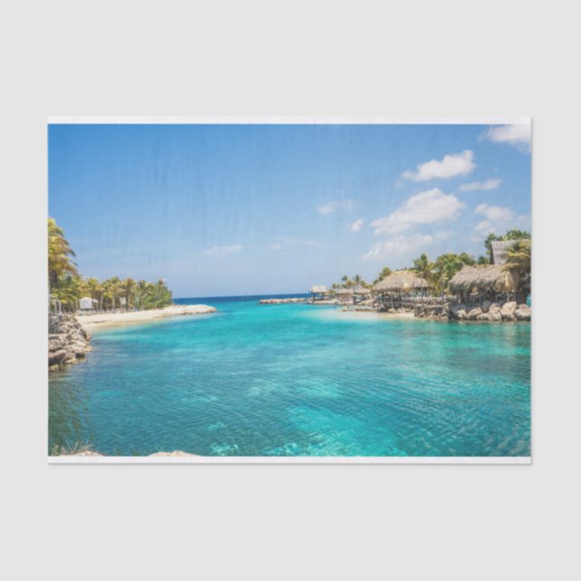 Scenic Tropical Beach with Thatched Huts Photo Tissue Paper (Front)