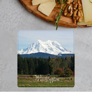 Scenic Washington Mount Rainier Landscape Coaster Set