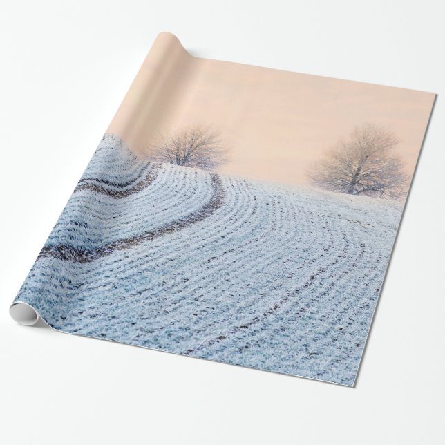 Scenic Winter Landscape Trees with Hoarfrost  Gift Wrapping Paper (Unrolled)