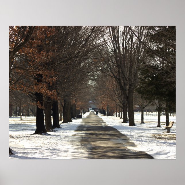 Scenic Winter Path Poster (Front)