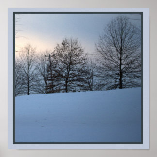Scenic Winter Trees Poster