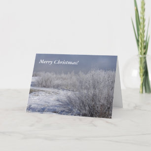 Scenic Winter Willows Christmas Card
