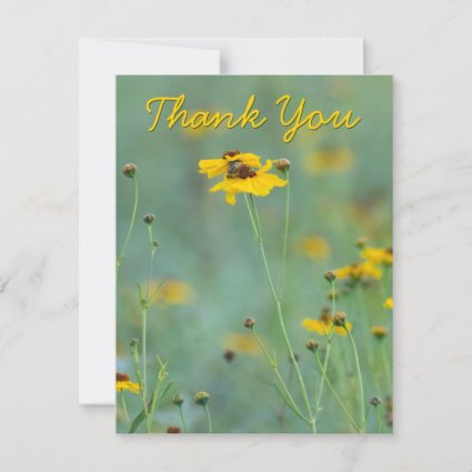 Scenic Yellow Wildflower Photograph Custom 