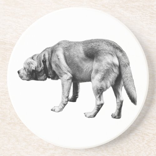 Scent and Stillness Coaster