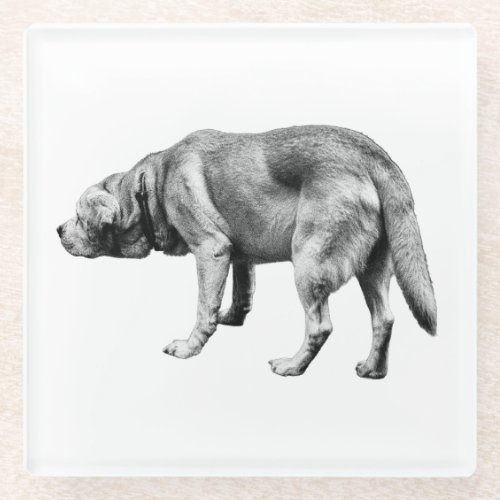 Scent and Stillness Glass Coaster