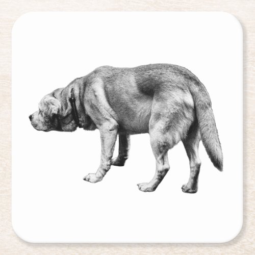 Scent and Stillness Square Paper Coaster