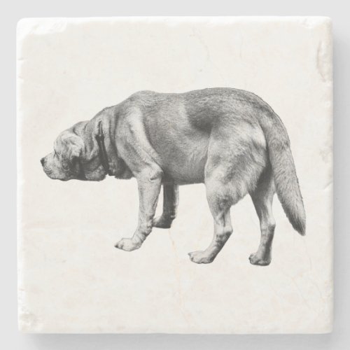 Scent and Stillness Stone Coaster
