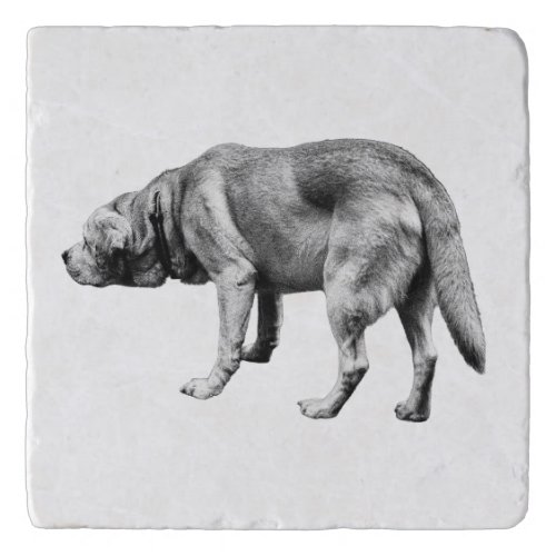 Scent and Stillness Trivet