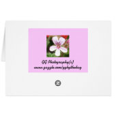Scented Geranium Card (Back Horizontal)